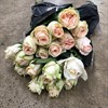WEDDING ROSE CREMEROSA